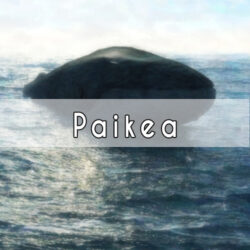 Paikea